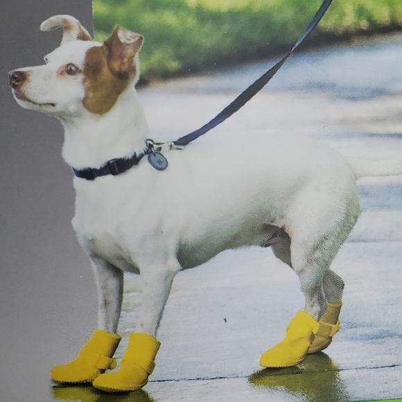Silicone Dog Rain Booties